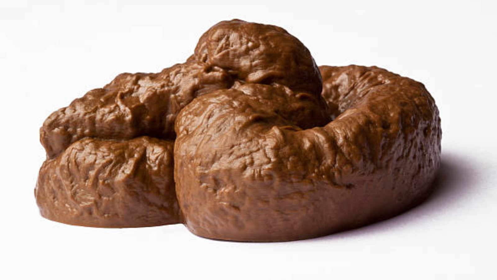 funny jokes poop